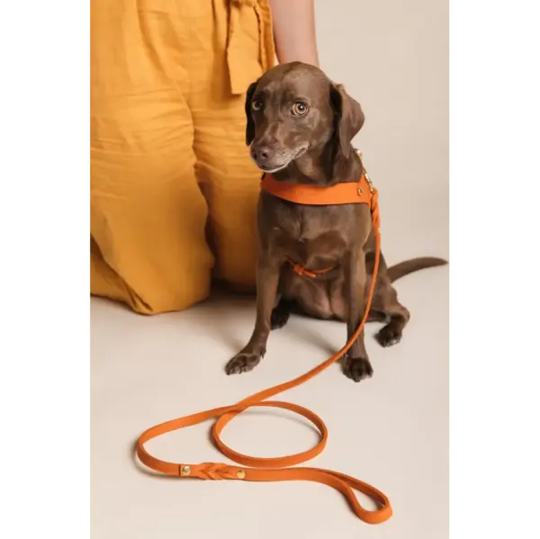 Mango Leather Dog Leash - Soft Butter Leather City Walking Lead by Molly And Stitch - Image 4