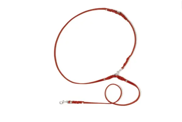 Molly And Stitch Adjustable Leather Dog Leash Chili Red - Image 5