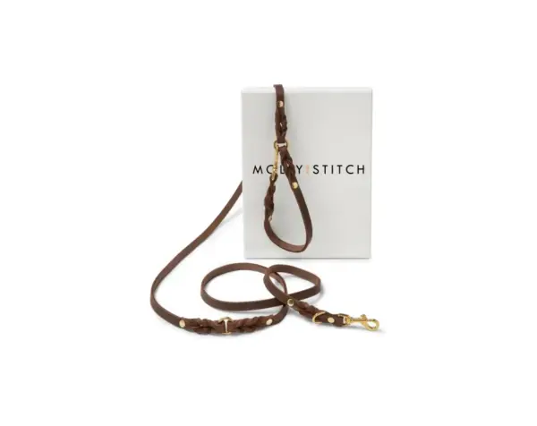 Premium Leather 3-Point Adjustable Dog Leash - Brown