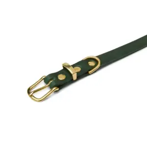 Butter Leather Dog Collar in Forest Green - Molly & Stitch