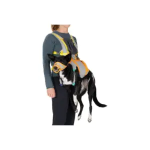 Ruffwear BackTrak Emergency Dog Evacuation Kit for Pets