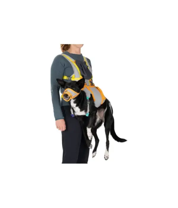Ruffwear BackTrak Emergency Dog Evacuation Kit for Pets