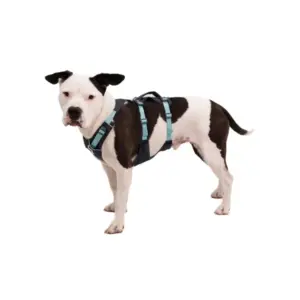Ruffwear Flagline Dog Harness - Adjustable & Reflective Outdoor Gear