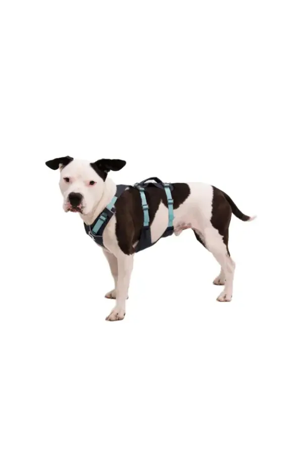 Ruffwear Flagline Dog Harness - Adjustable & Reflective Outdoor Gear