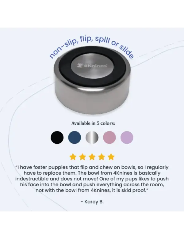 Durable Stainless Steel Dog Bowl Non-Slip Base | 4Knines - Image 5
