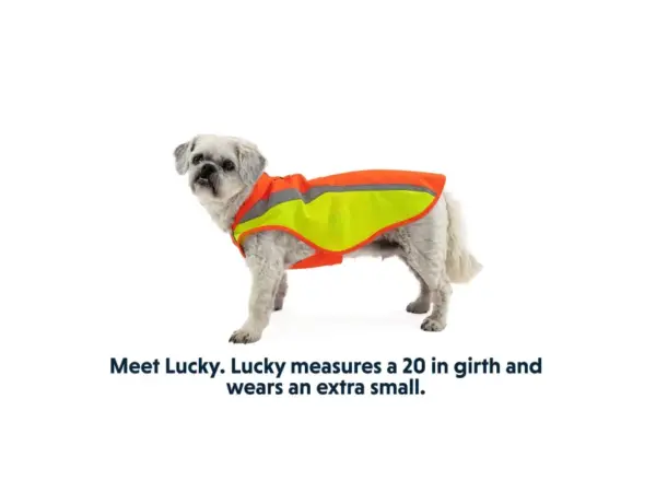Ruffwear Lumenglow High Vis Safety Dog Jacket - Image 5