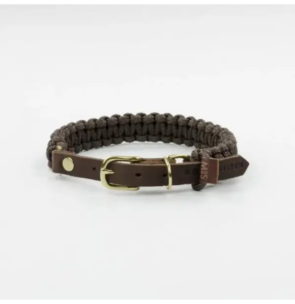 Molly And Stitch Chocolate Leather Dog Collar – Soft & Adjustable - Image 5