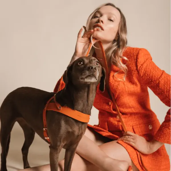 Mango Leather Dog Leash - Soft Butter Leather City Walking Lead by Molly And Stitch - Image 5